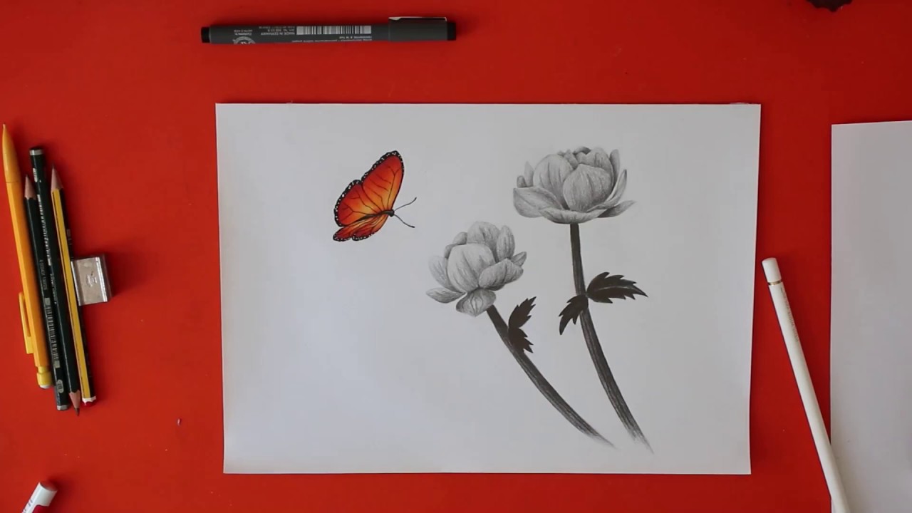 Blumen und Schmetterling zeichnen lernen |12-99J.|Tutorial von Kind zu Kind|Jugend -& Kinderakademie
