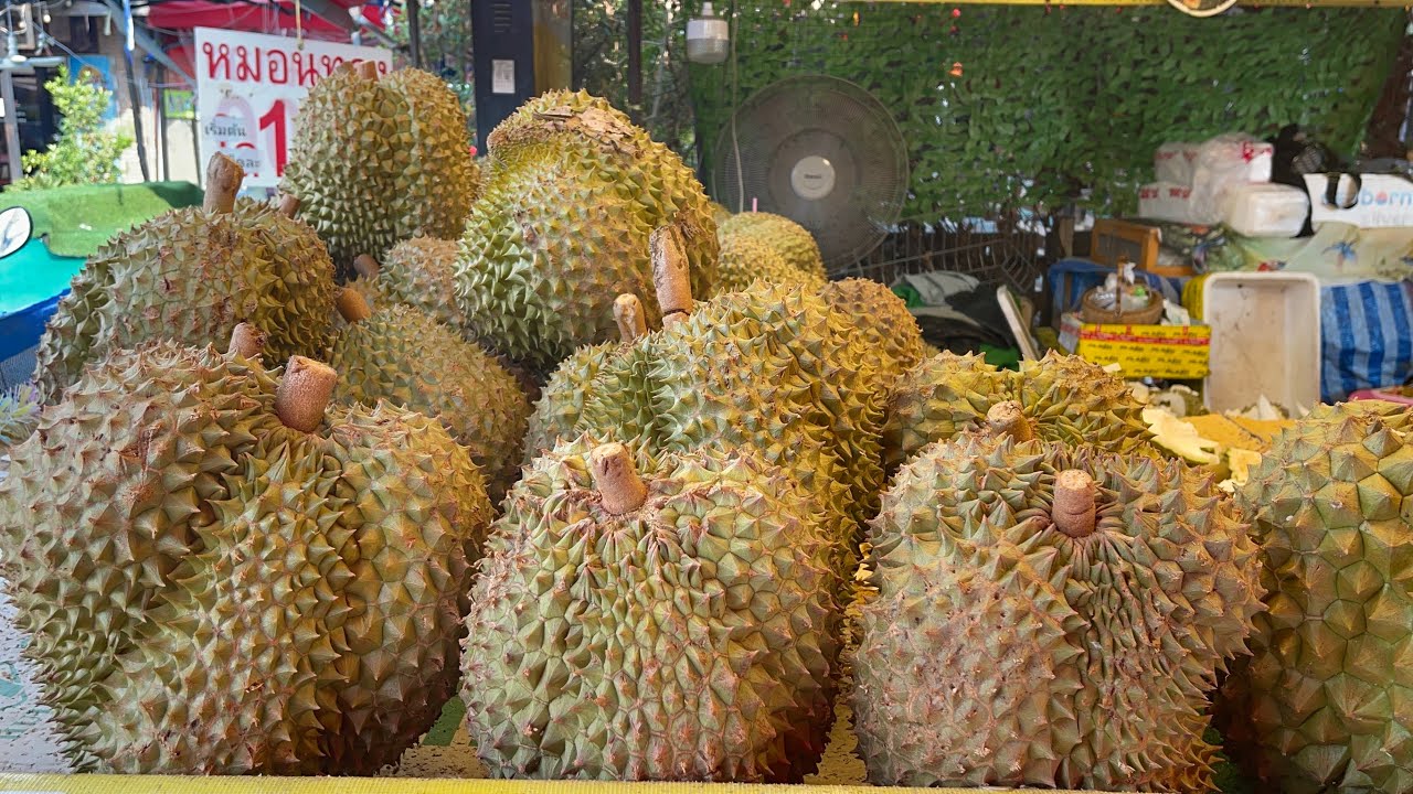 พูใหญ่ๆสวยๆจุกๆ…..ทุเรียนหมอนทอง ร้านเจ้อ้อม ตลาดนัดเรือบิน อำเภอบางพลี สมุทรปราการ #thailand 