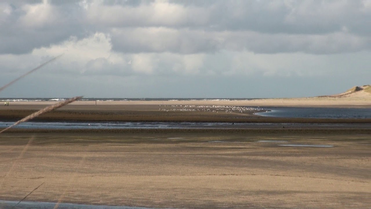 Texel  wandeling door de Slufter
