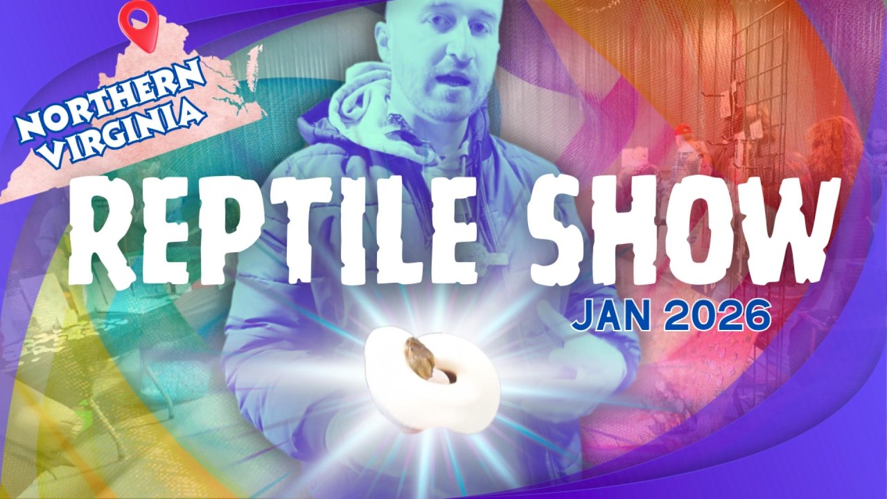 Northern Virginia Reptile Show: Berryville VA, January 2026