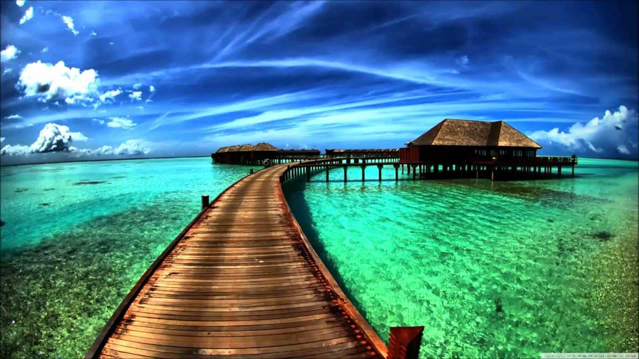 Kollektiv Turmstrasse - Freiflug