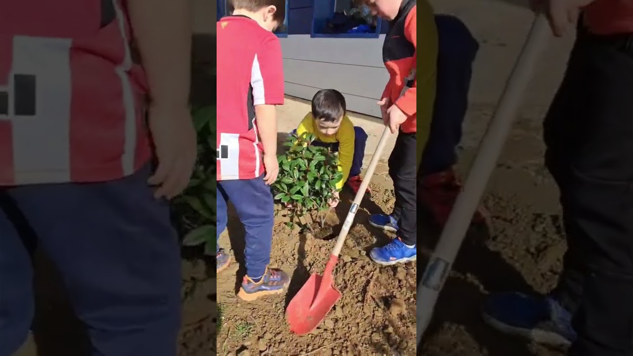 Arbola Eguna