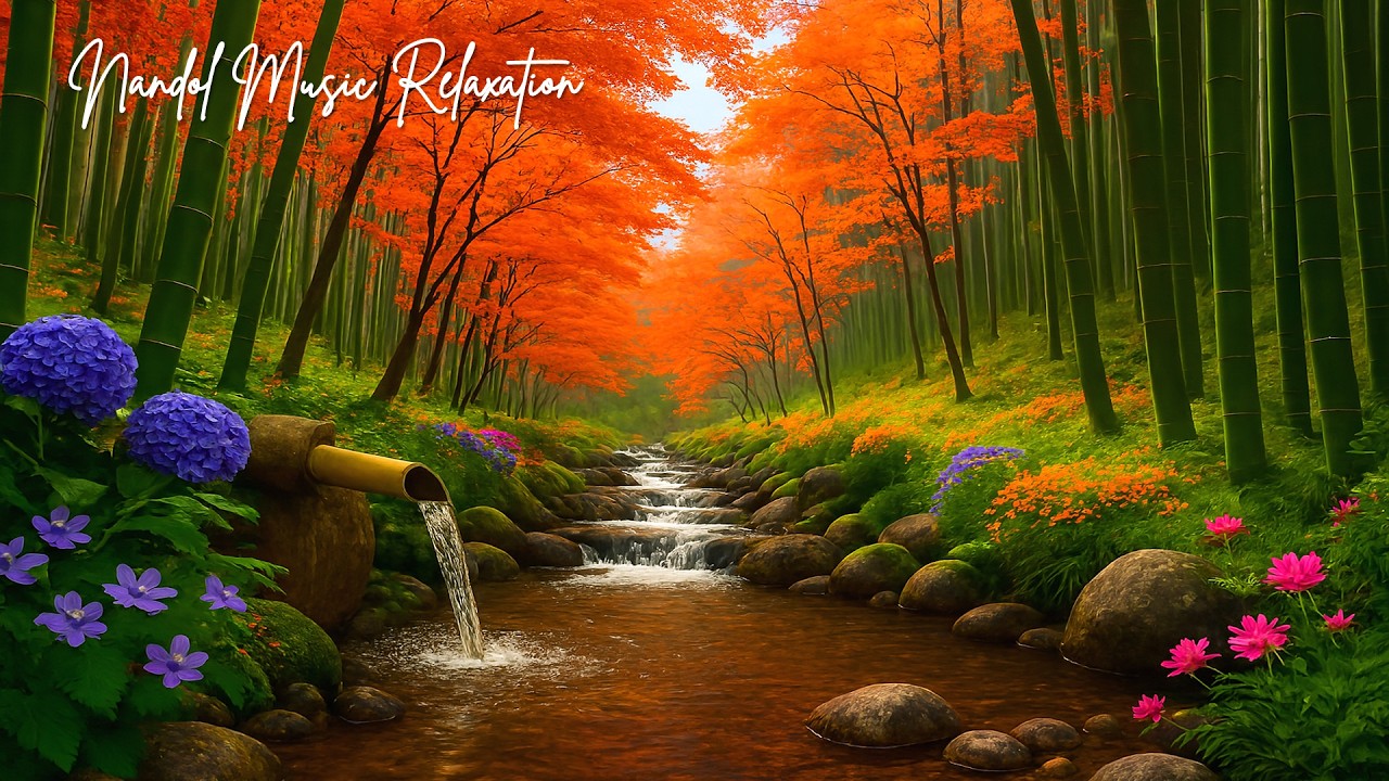 Nhạc piano và dàn dây nhẹ nhàng giúp thư giãn sâu, giảm lo âu và ngủ ngon hơn tối nay.