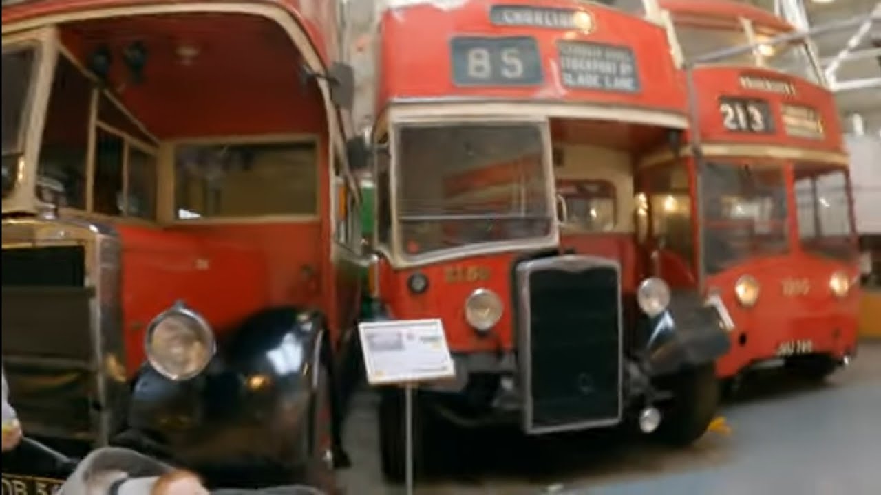 Buses Buses Buses
