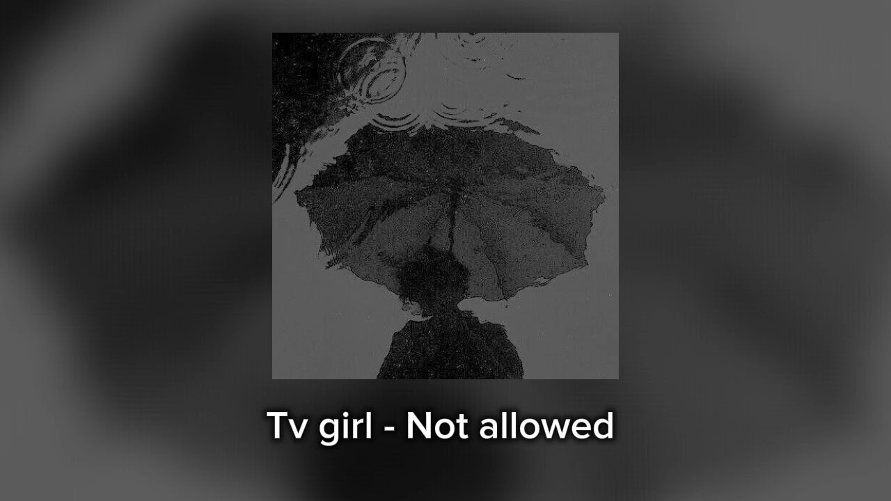 not allowed -  Tv girl instrumental and loop