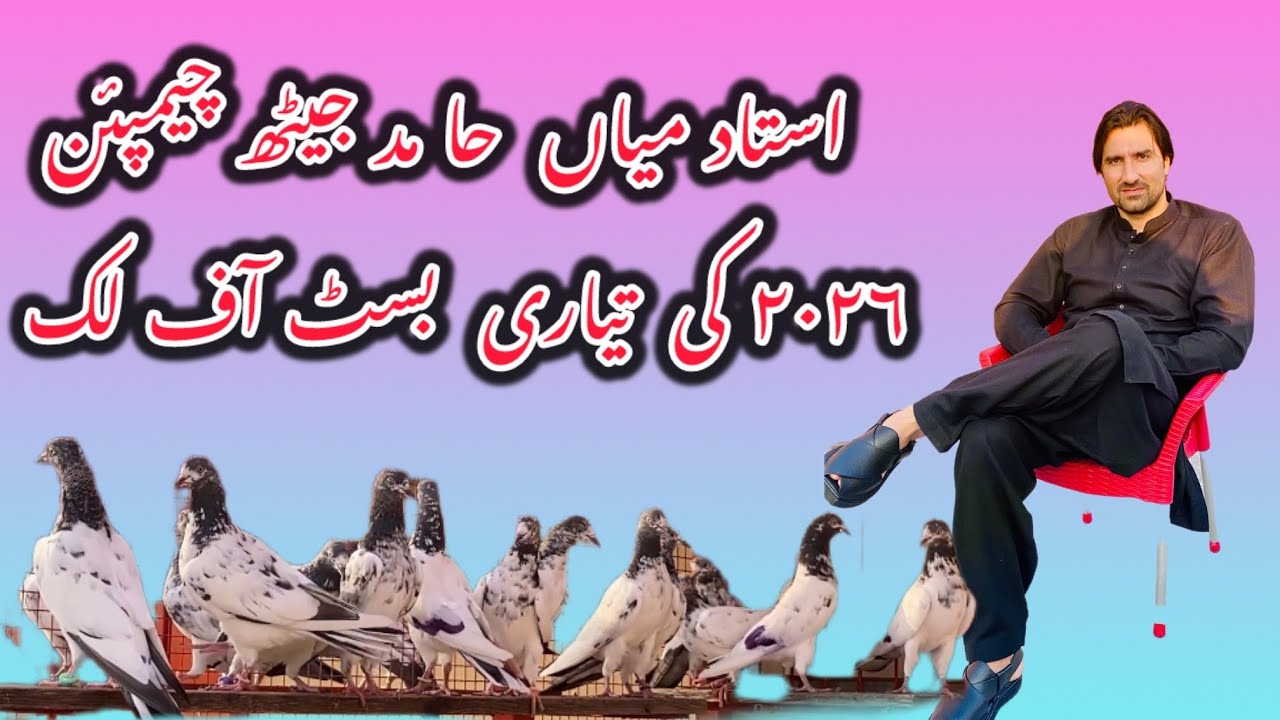 ustad Mian hamid jeth champion 