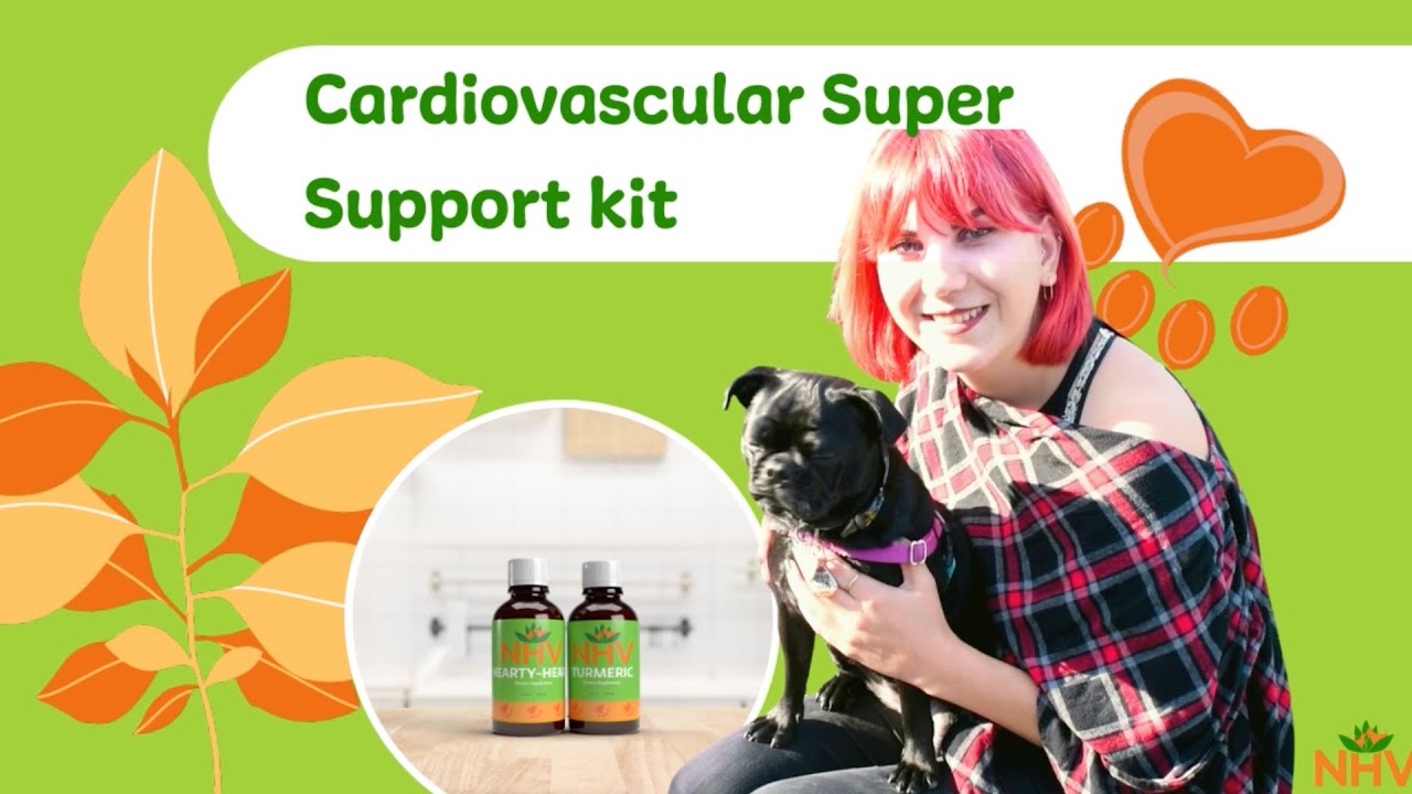 NHV Cardiovascular Super Support Kit for Cats and Dogs