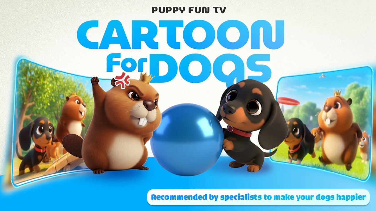 Cartoons for Dogs to Watch 🐶 | Dog-Friendly Colors They Can Actually See | Ultimate Dog TV