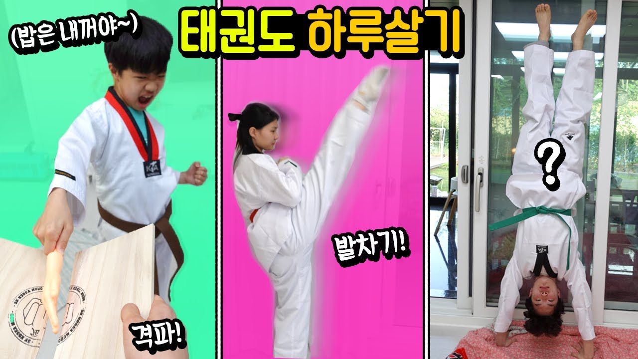 태권도 학원 하루살기! 유연성 테스트 격파 태극1장 유형 극한 생존 게임 24시간 ㅋㅋㅋ 흔한 가족 일상 브이로그 챌린지 | 말이야와친구들