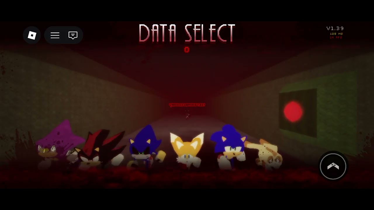 Sonic the disaster 