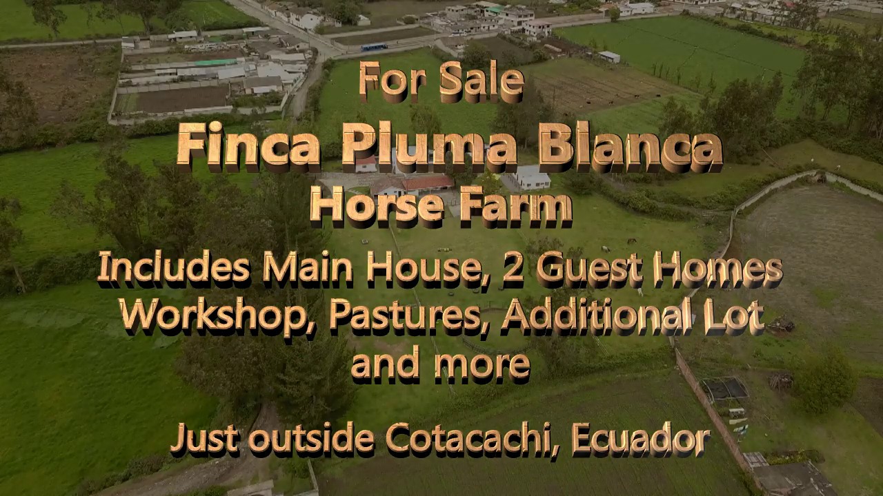(SOLD)  Beautiful Horse Farm outside Cotacachi, Ecuador