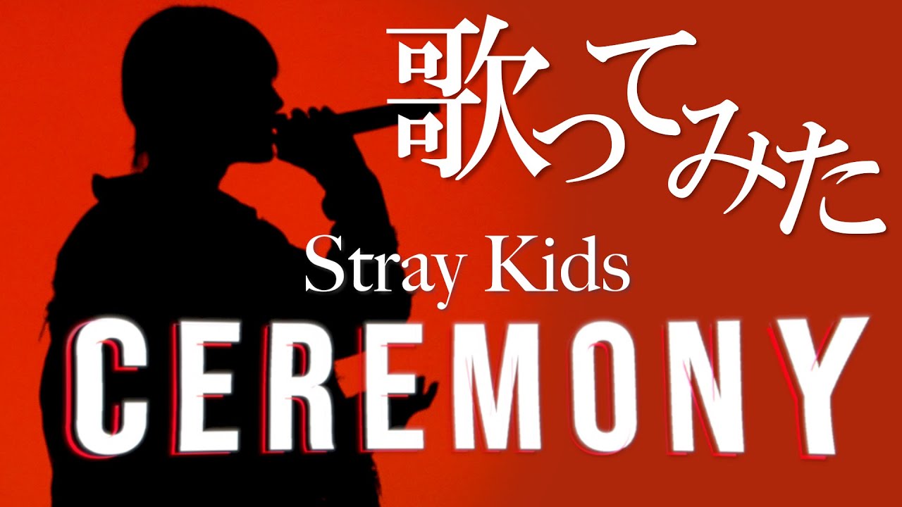 Stray Kids - CEREMONY (обложка) | Riura [обложка]