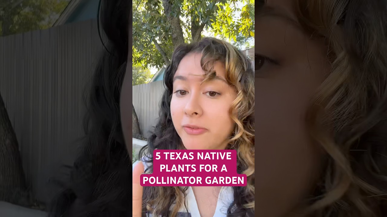 5 Plants for a Texas Pollinator garden! 🦋