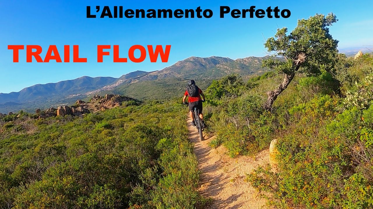 Allenamento MTB, trail flow