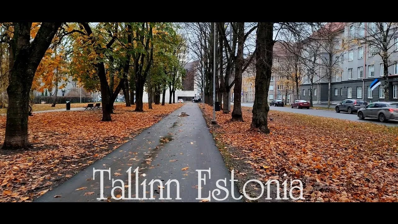 Tallinn Estonia 🇪🇪 - Walking Travel with City Sounds