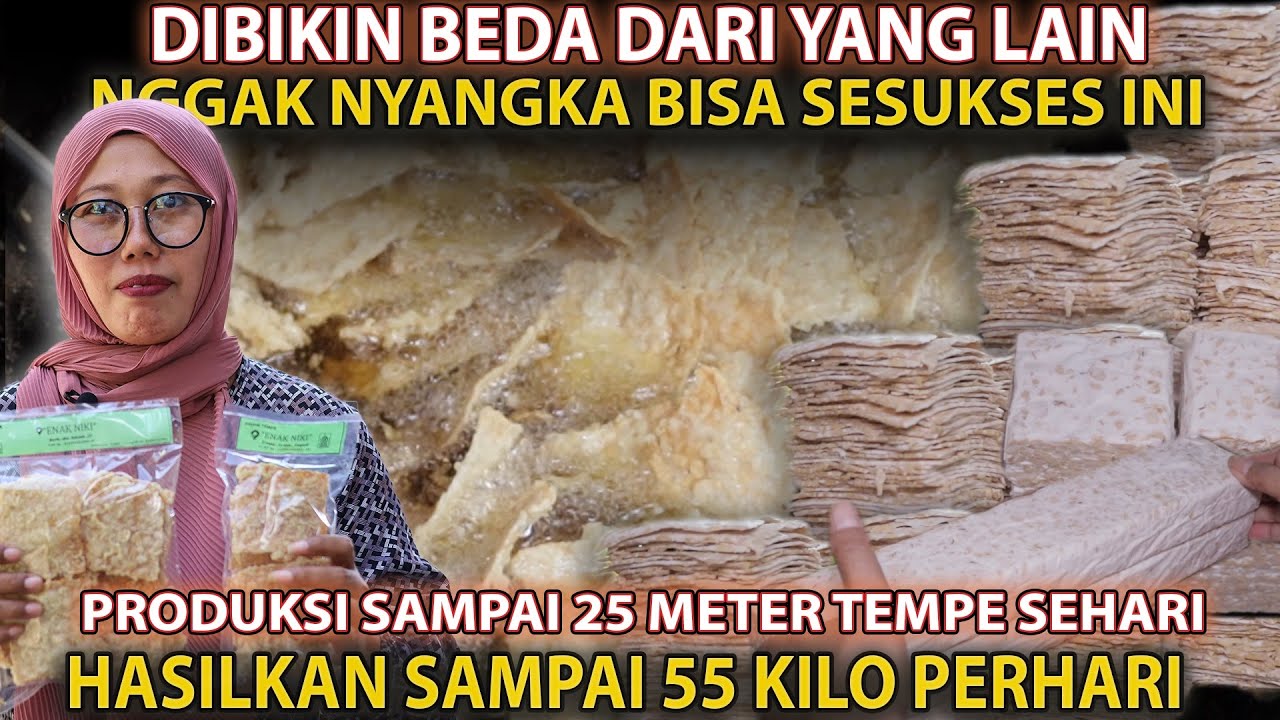 GA KEBAYANG BISA SAMPAI SAAT INI ‼️PRODUKSI SAMPAI 25 METER HASILKAN 55 KILO PERHARI