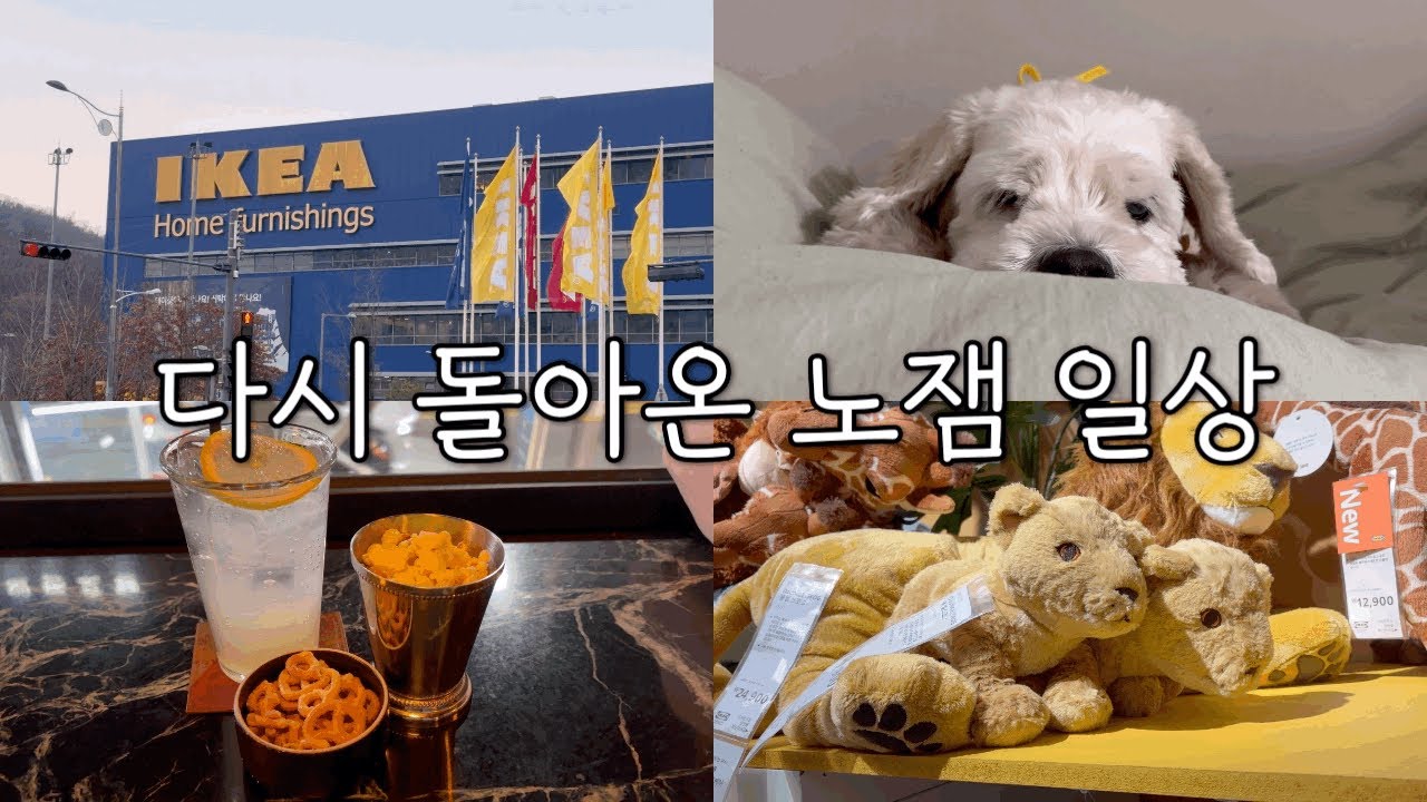 시험이 끝난 후 다시 돌아온 노잼 일상 | 내향인의 외출일기 | 알바&약속으로 가득했던 날들 | 이케아 구경&보컬 레슨 | 안해본 것들을 도전해보자