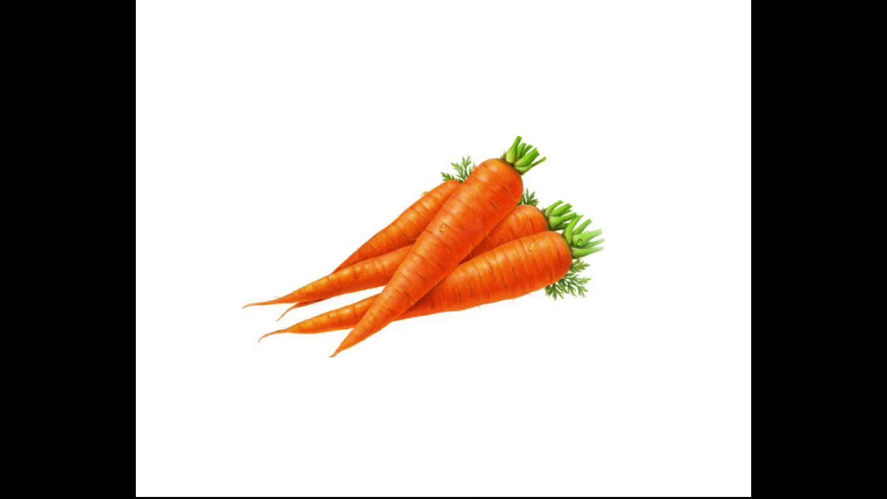 Carrot Beats