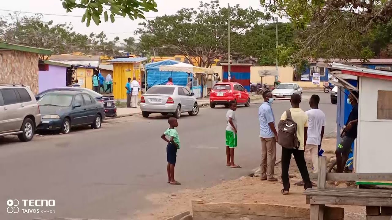 Tema community 4: Bees invasion leaves one in critical condition, others injured