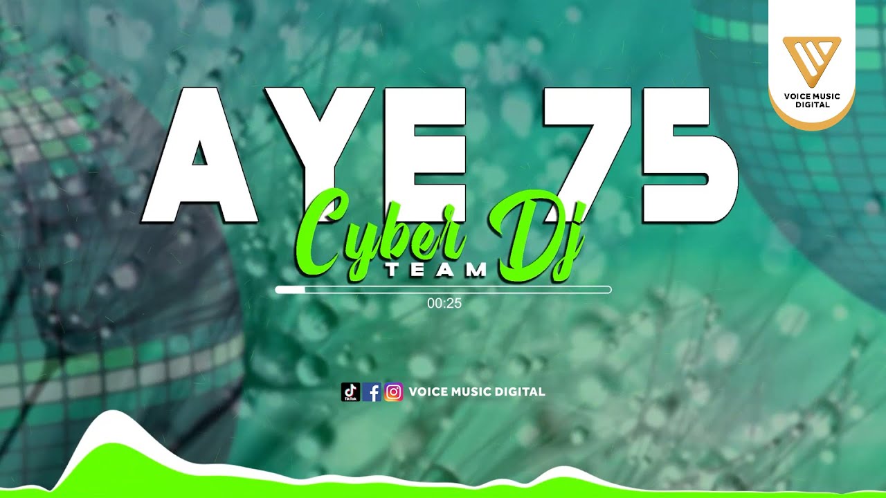 DJ Aye 75 - CYBER DJ TEAM (Audio Visualizer)