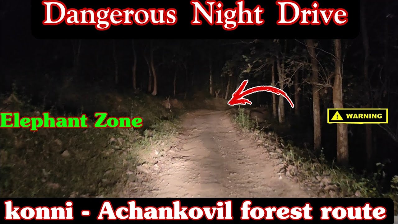 Dangerous night drive|konni-achankovil elephant forest route|elephant zone|kerala