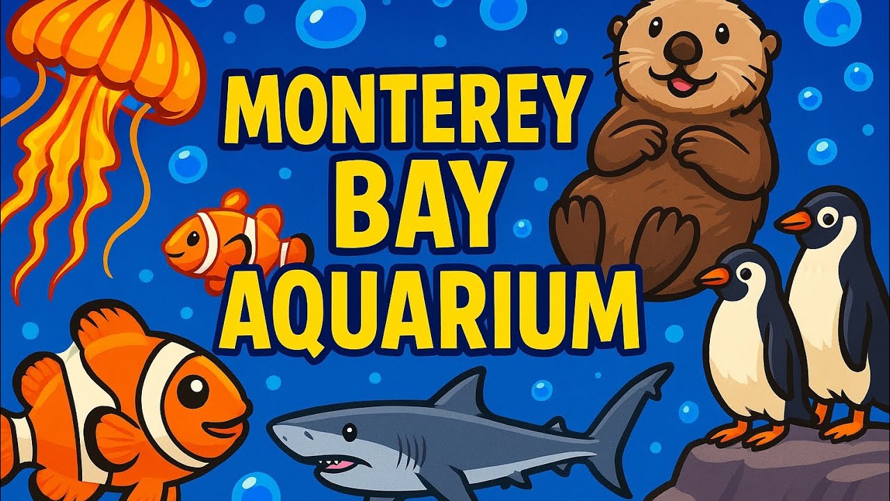 Underwater Wonders: Monterey Bay Aquarium Adventure