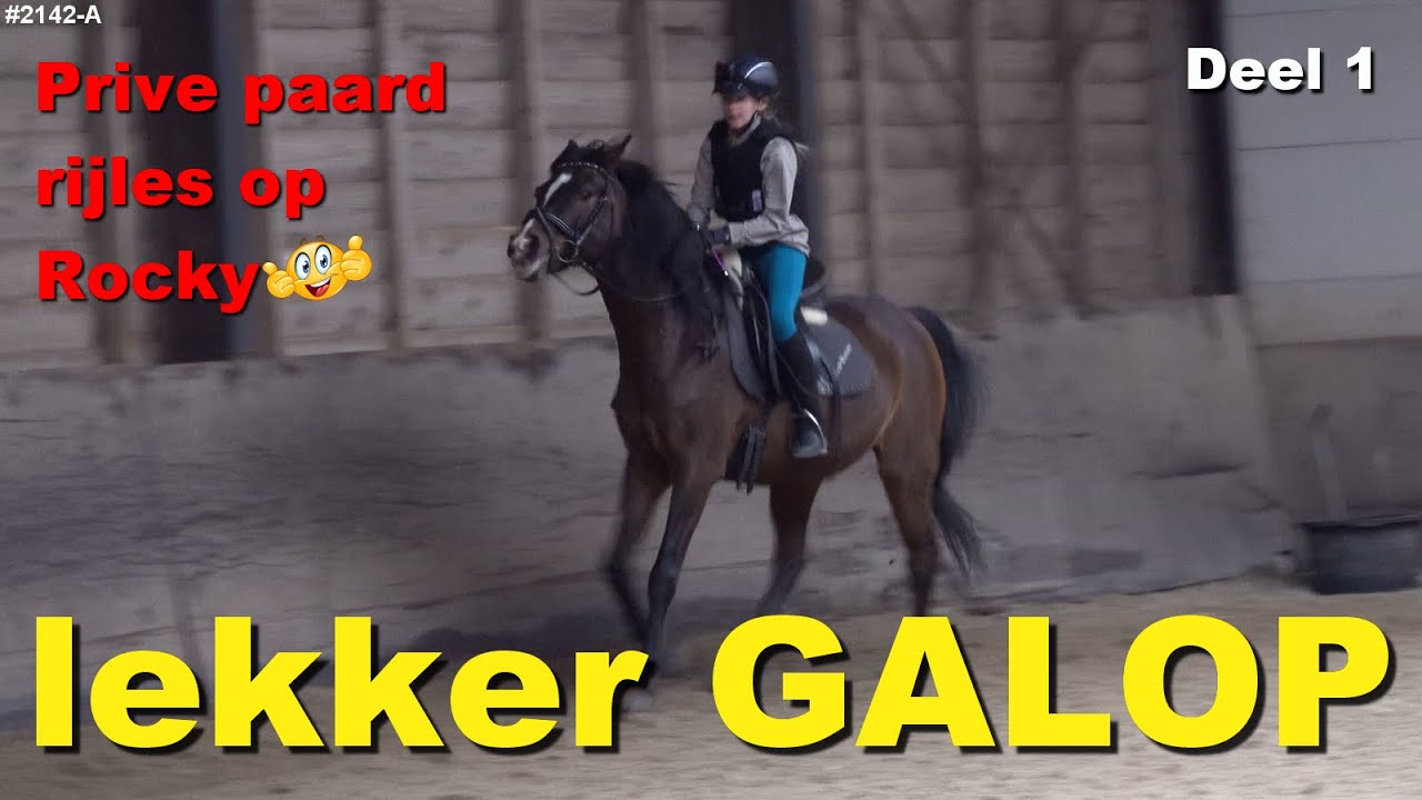 PRIVE PAARD RIJLES op ROCKY nu MANEGE DICHT is door de LOCKDOWN. LEKKER in GALOP gereden  #2142-A