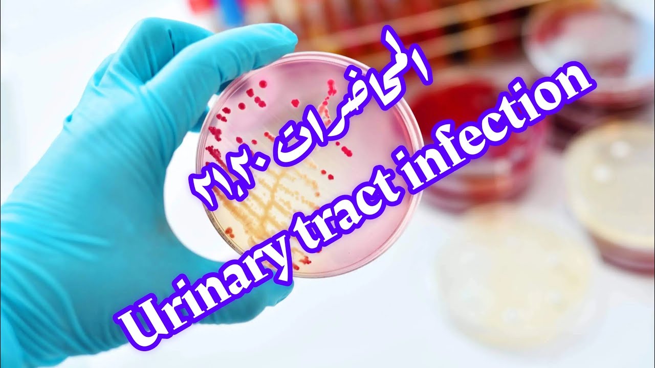 تشخيص بكتيري مرحلة رابعة المادة الوزارية المحاضرات  ٢٠، ٢١ ( urinary tract infection )