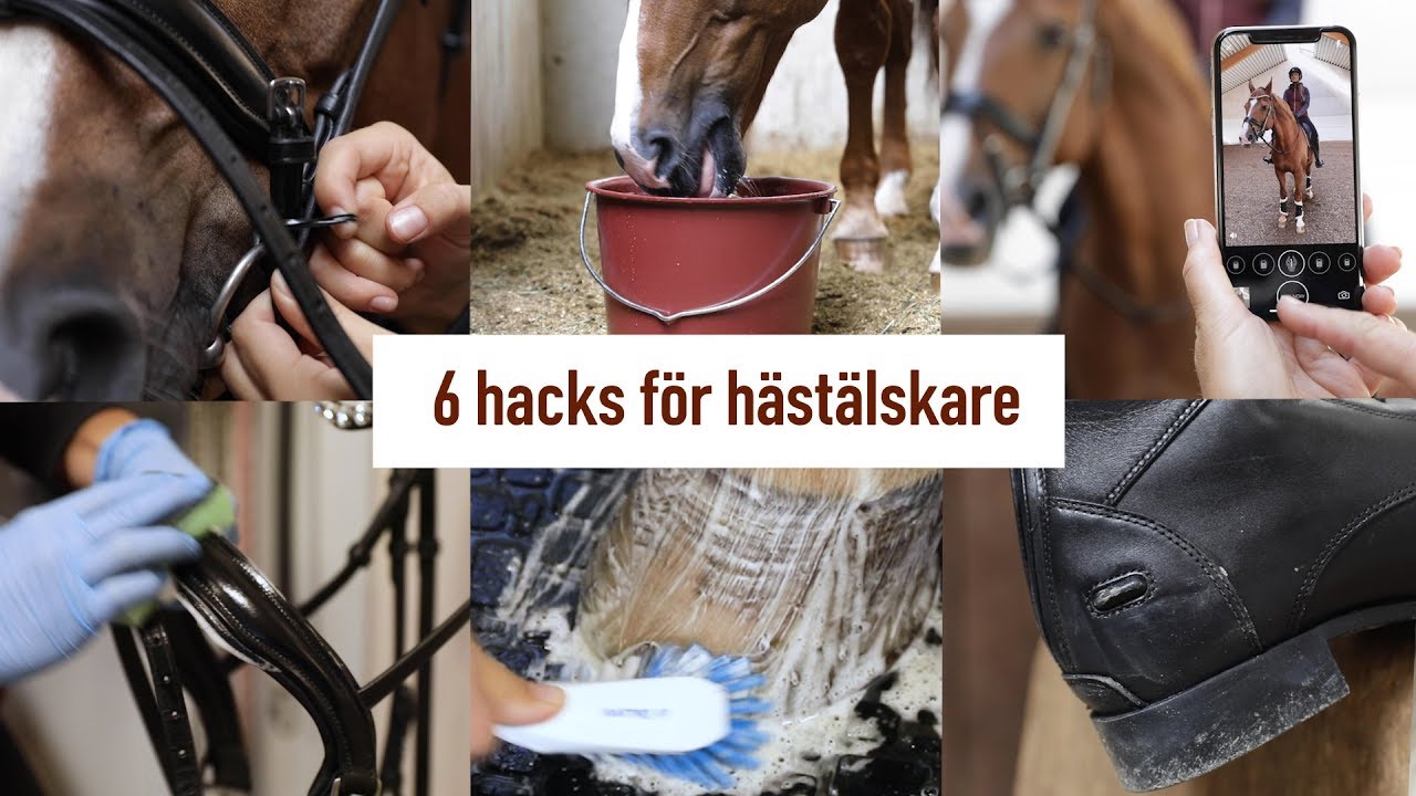 ♘ MINA BÄSTA LIFE HACKS I STALLET ♘