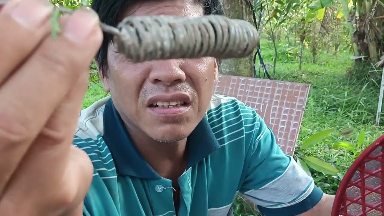 Đi bắt ong được người anh tặng cho nguyên cái củ hủ dừa luôn 