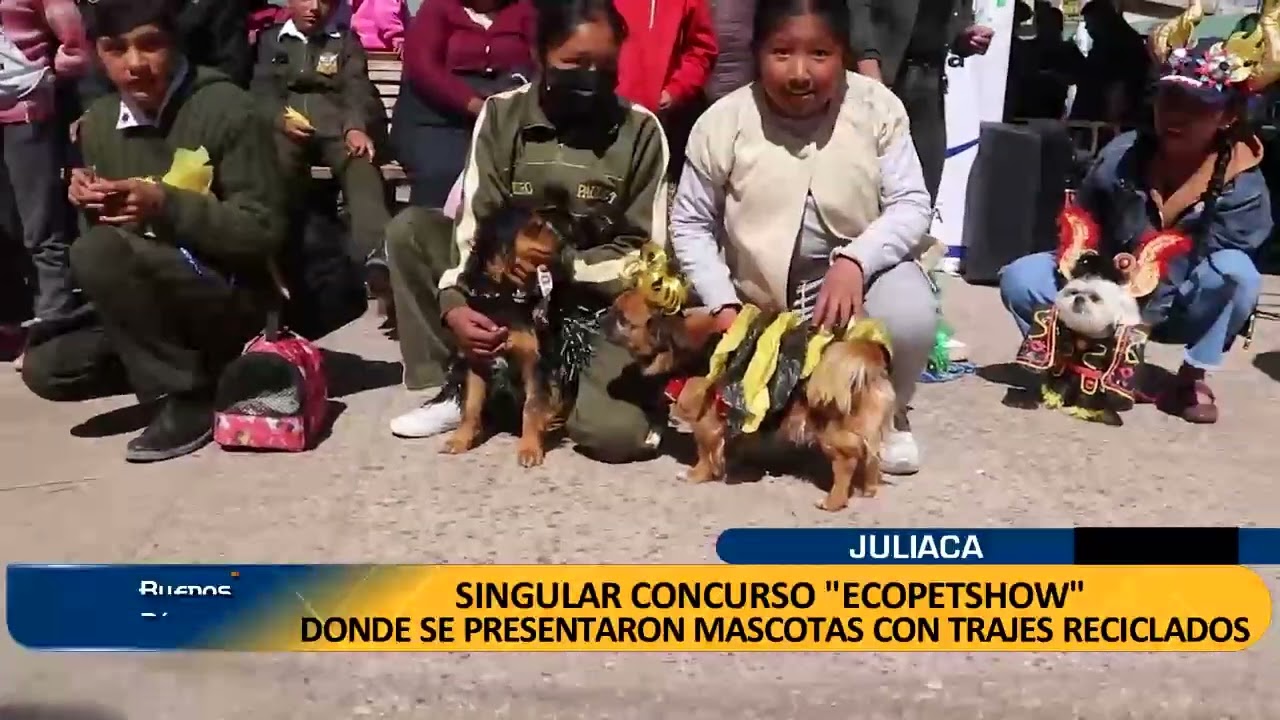 CONCURSO: SINGULAR CONCURSO 