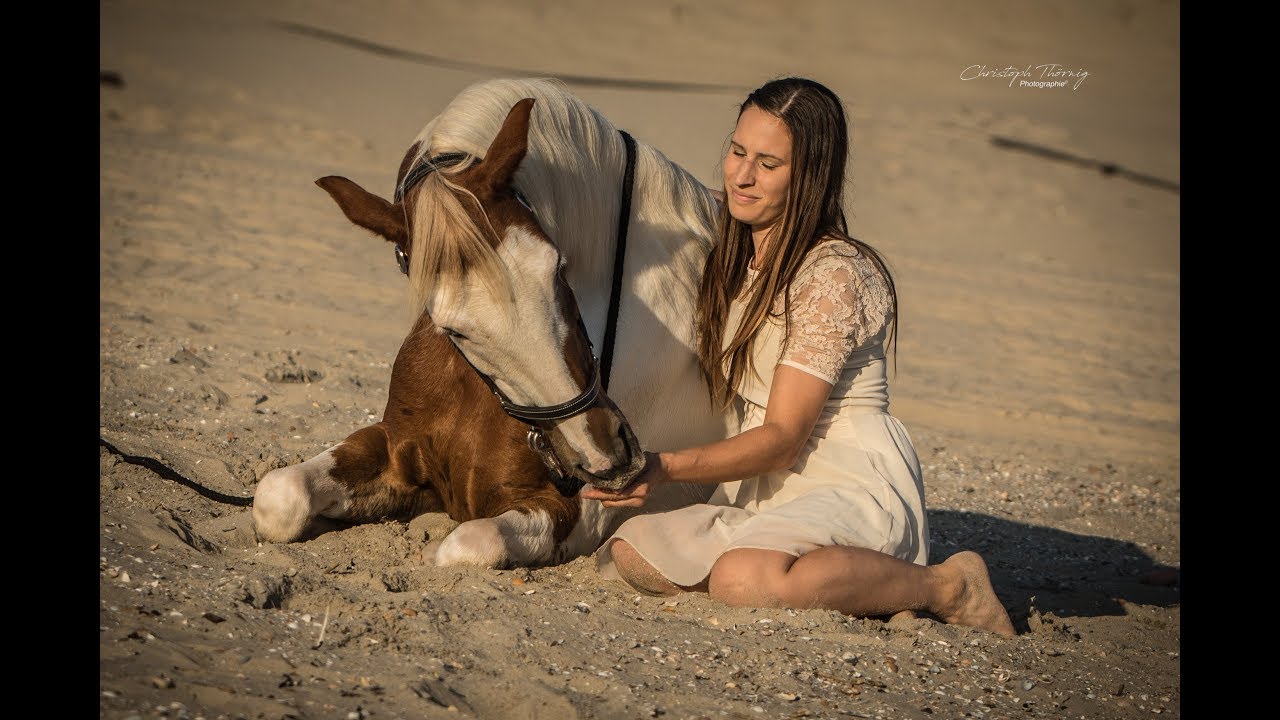 🐴 Holland 2018 mit Pferd-Teil 1 (Drohnenaufnahmen)😍