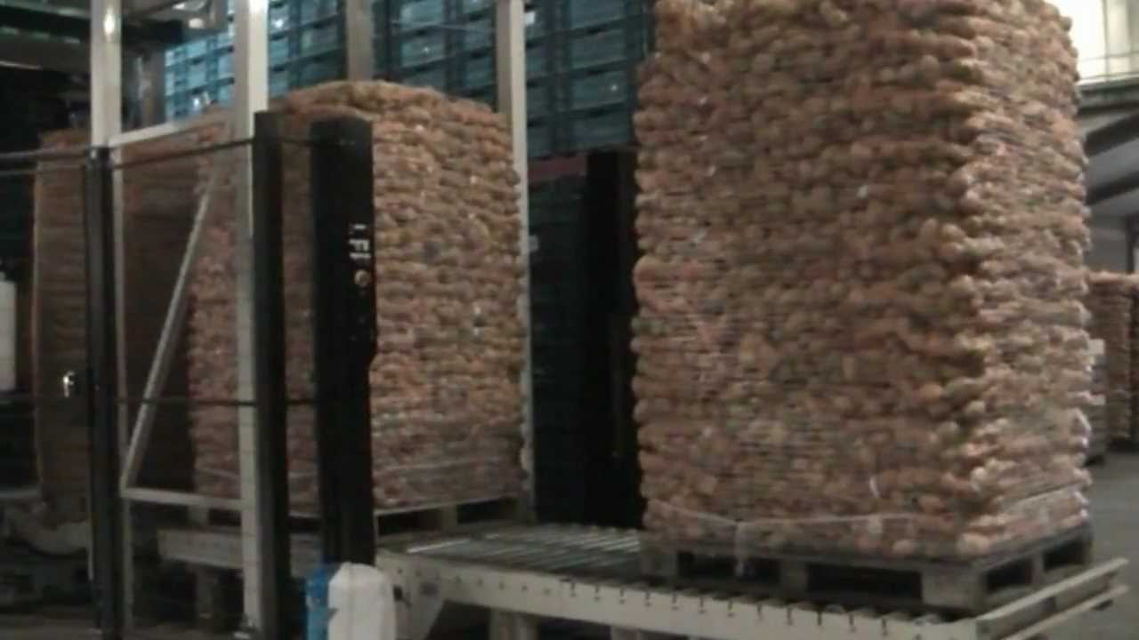 Aardappelen wassen en verpakken in 4 kg zakken