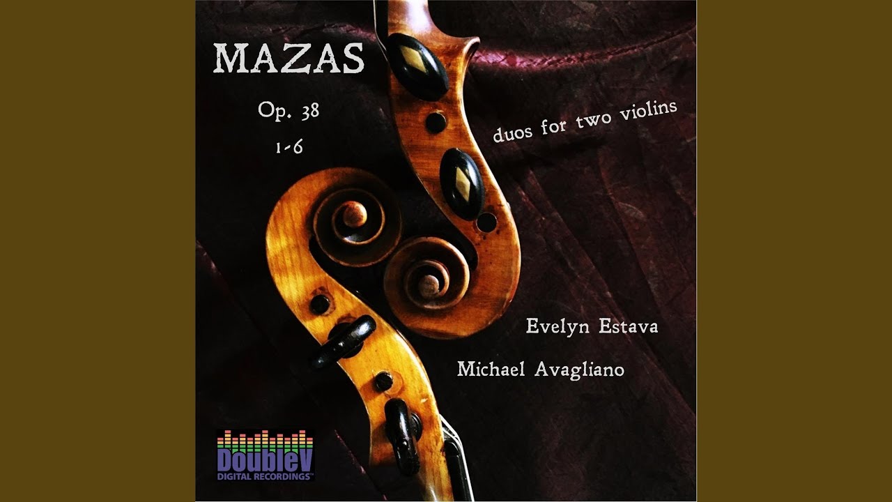 Duo No. 1 in C Major, Op. 38: I. Allegro maestoso