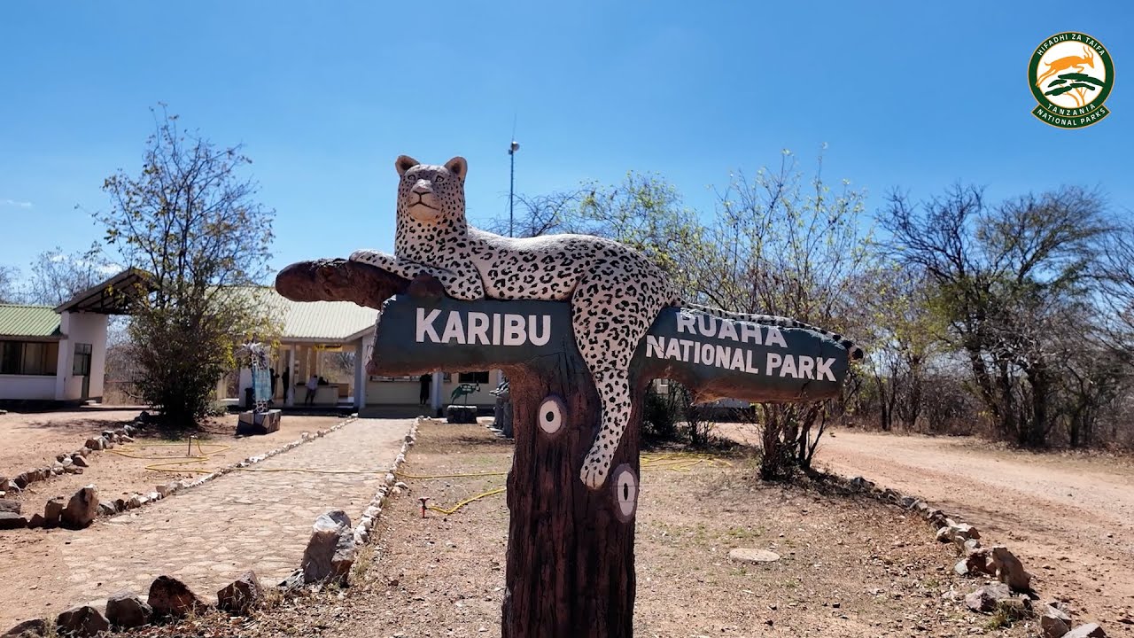 EXPLORE RUAHA NATIONAL PARK - Tanzania’s vast wilderness of wildlife, adventure, and conservation