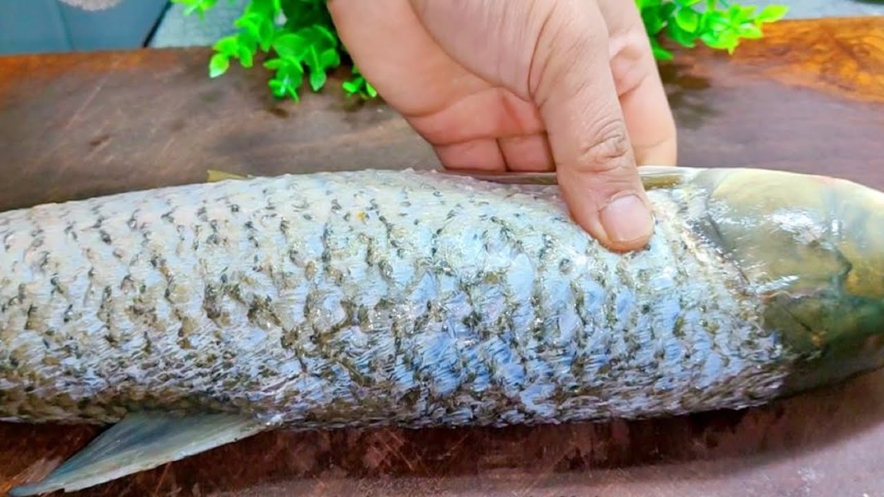 草鱼最好吃的家常做法，大厨30年的绝活，老少皆宜，上桌没有鱼刺 | 草鱼食谱