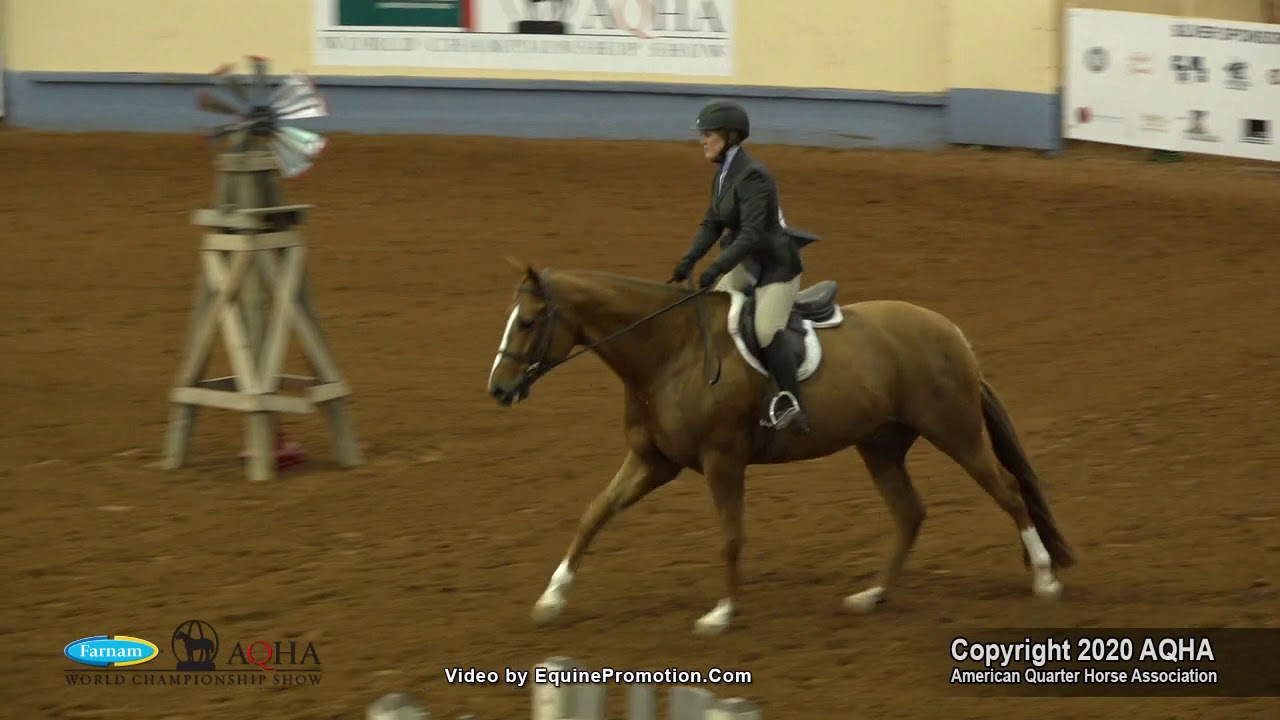 2020 AQHA Junior Working Hunter
