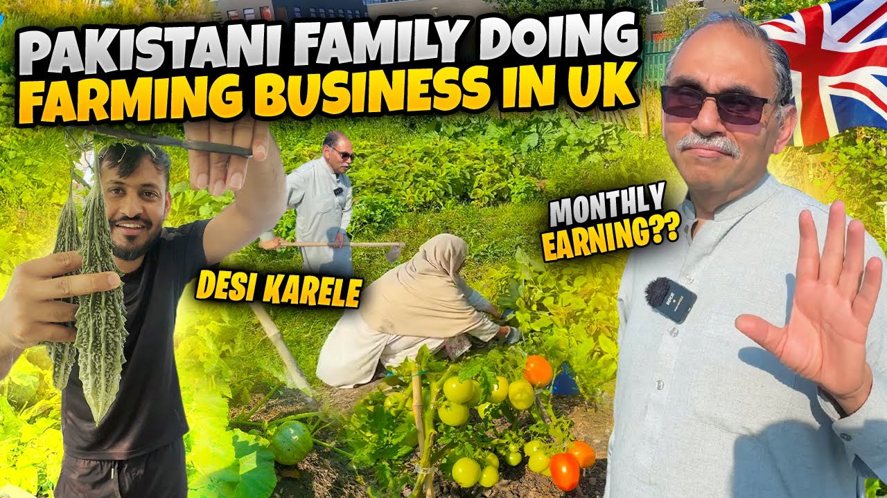 British Pakistani Family Doing Farming Business in Uk 👨‍🌾🚜￼ Desi￼ Life Style in Uk🇬🇧 Village Life Uk