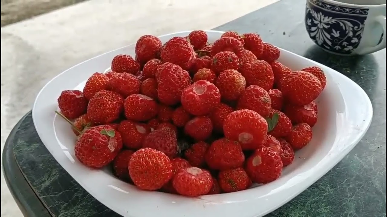 Am culea vita de vie, doua deserturi . Câteva momente din viata noastră.