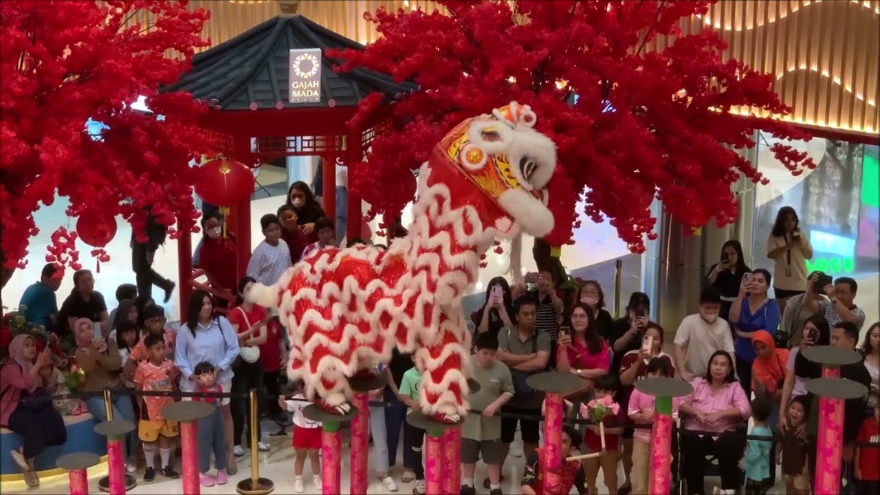 26 Jan 2025 Barongsai Lion Dance Imlek CNY Gajah Mada Plaza Jakarta Indonesia