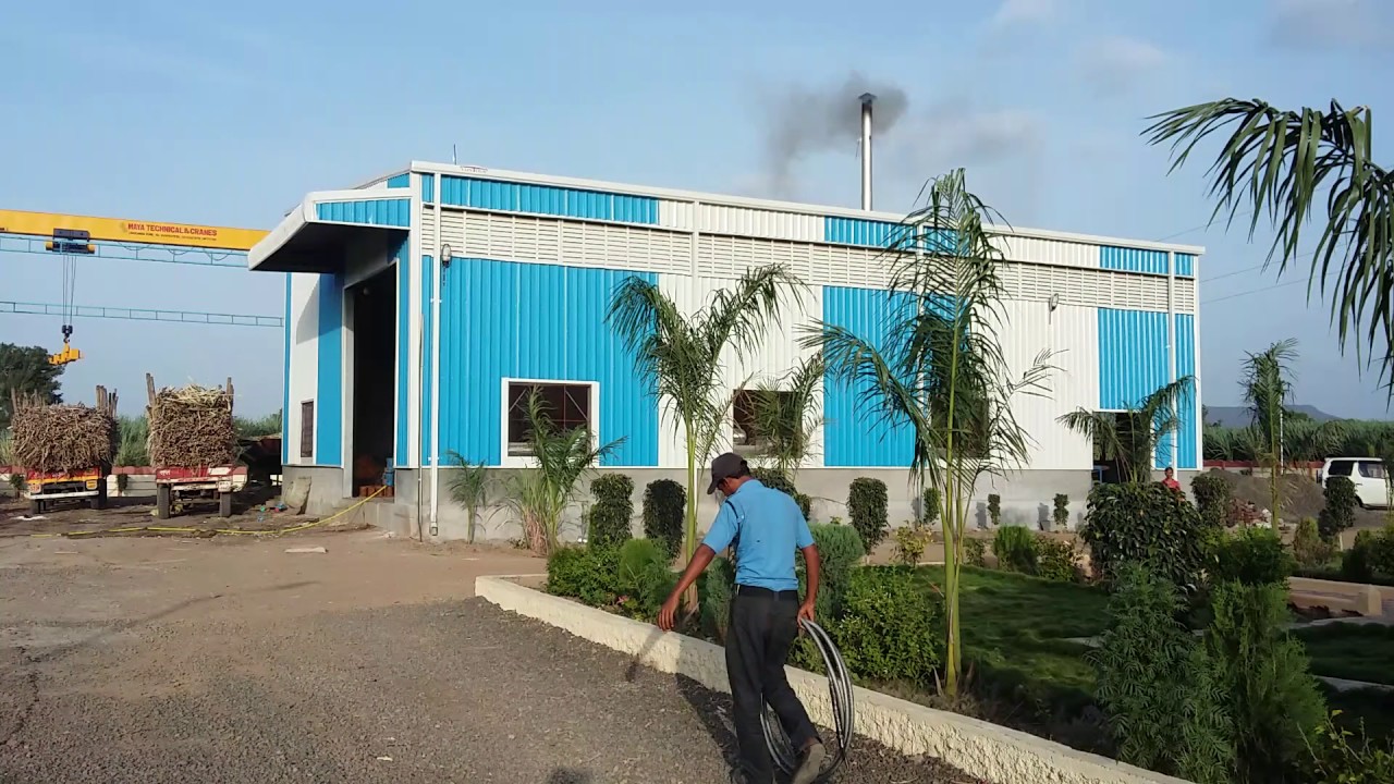 Jaggery plants supply  excel plants