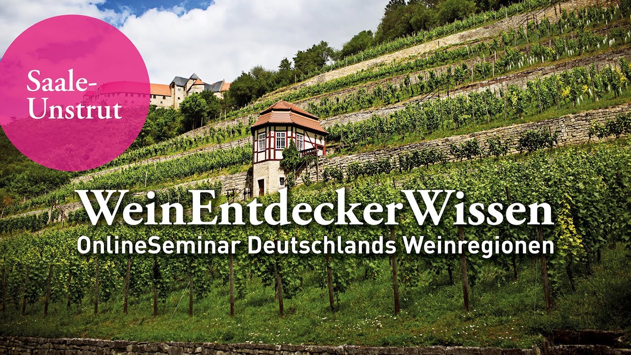 SAALE-UNSTRUT – WeinEntdeckerWissen OnlineSeminar Deutschlands Weinregionen