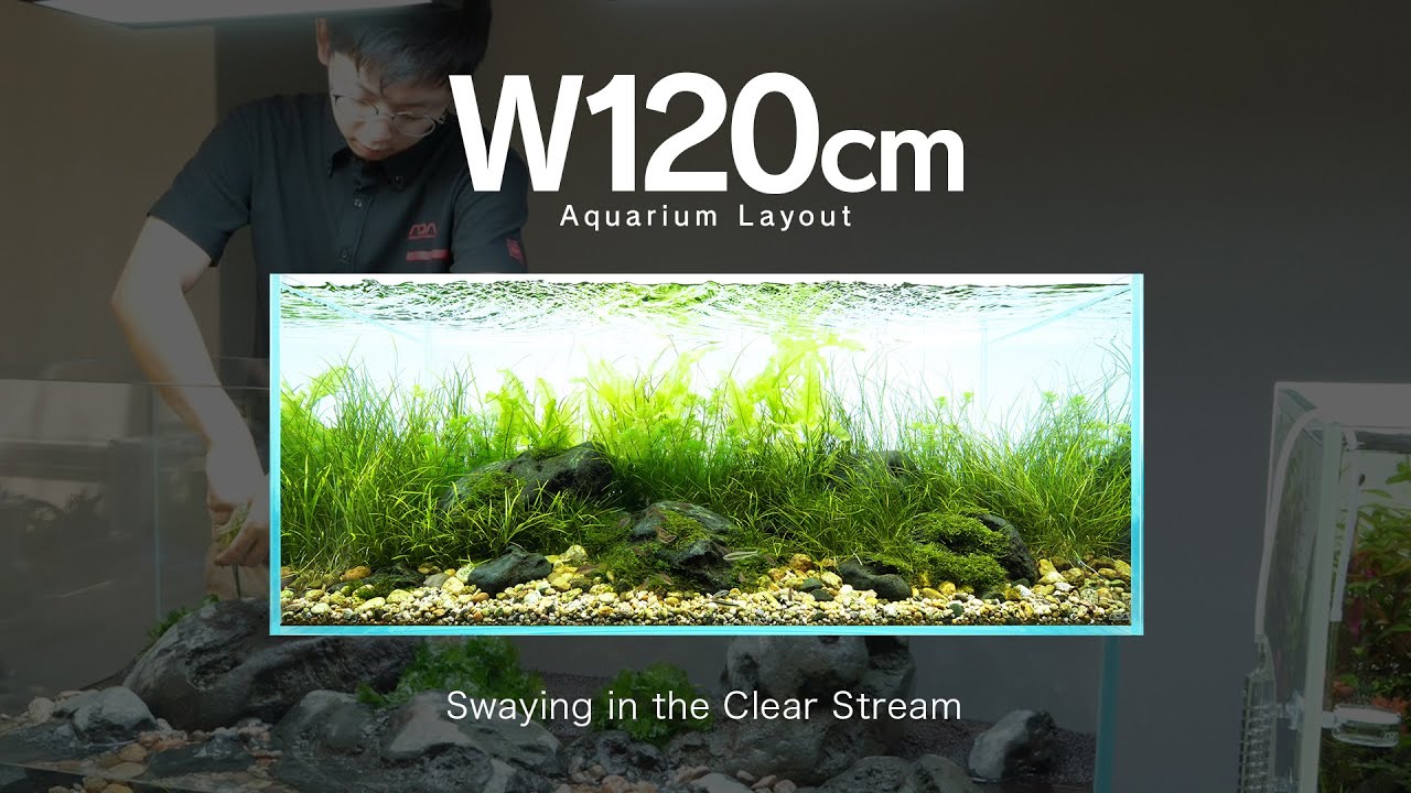 [ADAview] Swaying in the Clear Stream 清流にゆれる -W120cm Aquarium Layout-【EN/JP Sub.】