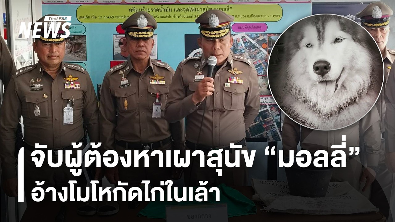 จับผู้ต้องหาเผาสุนัข 