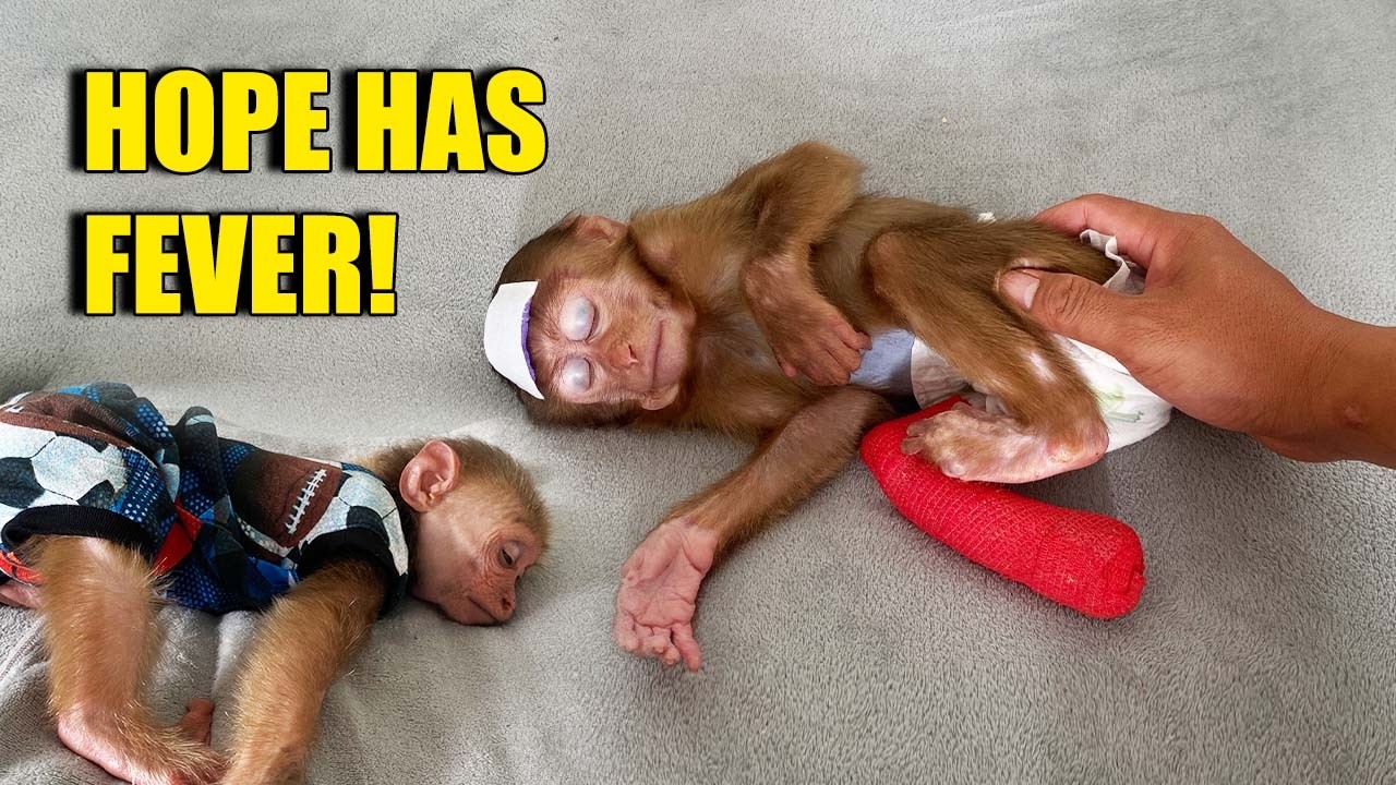 HOPE Has A Sudden Fever! Dad HUNG And JOBI Rush To Check Her Wound