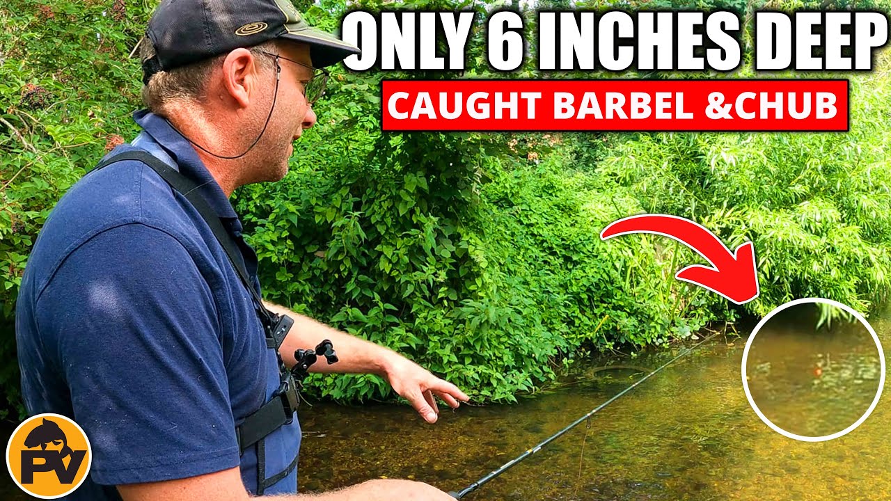 Its only 6inchs deep, surely i wont catch? Barbel,RiverLea ,Chub
