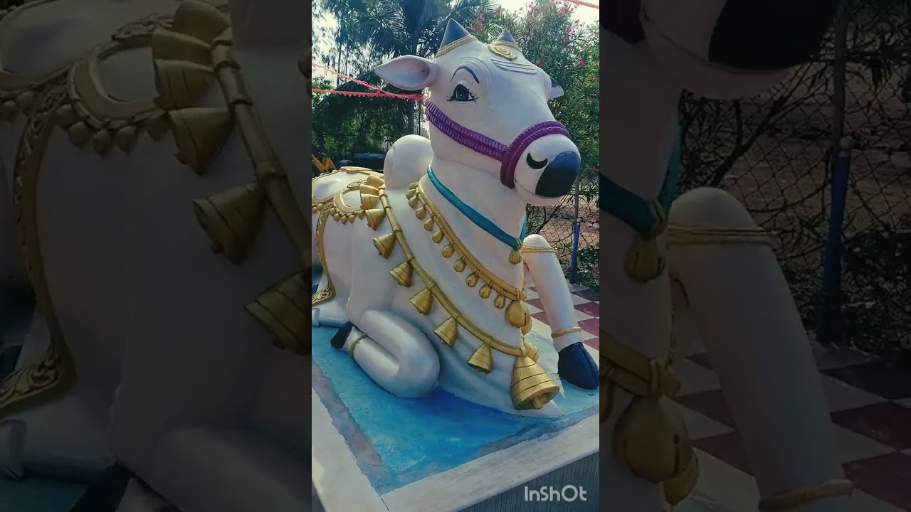 ప్రకాశం జిల్లా దొనకొండ మండలం విరాట్ నగర్ శ్రీ ఆనంద ఆశ్రమం 01/02/2026