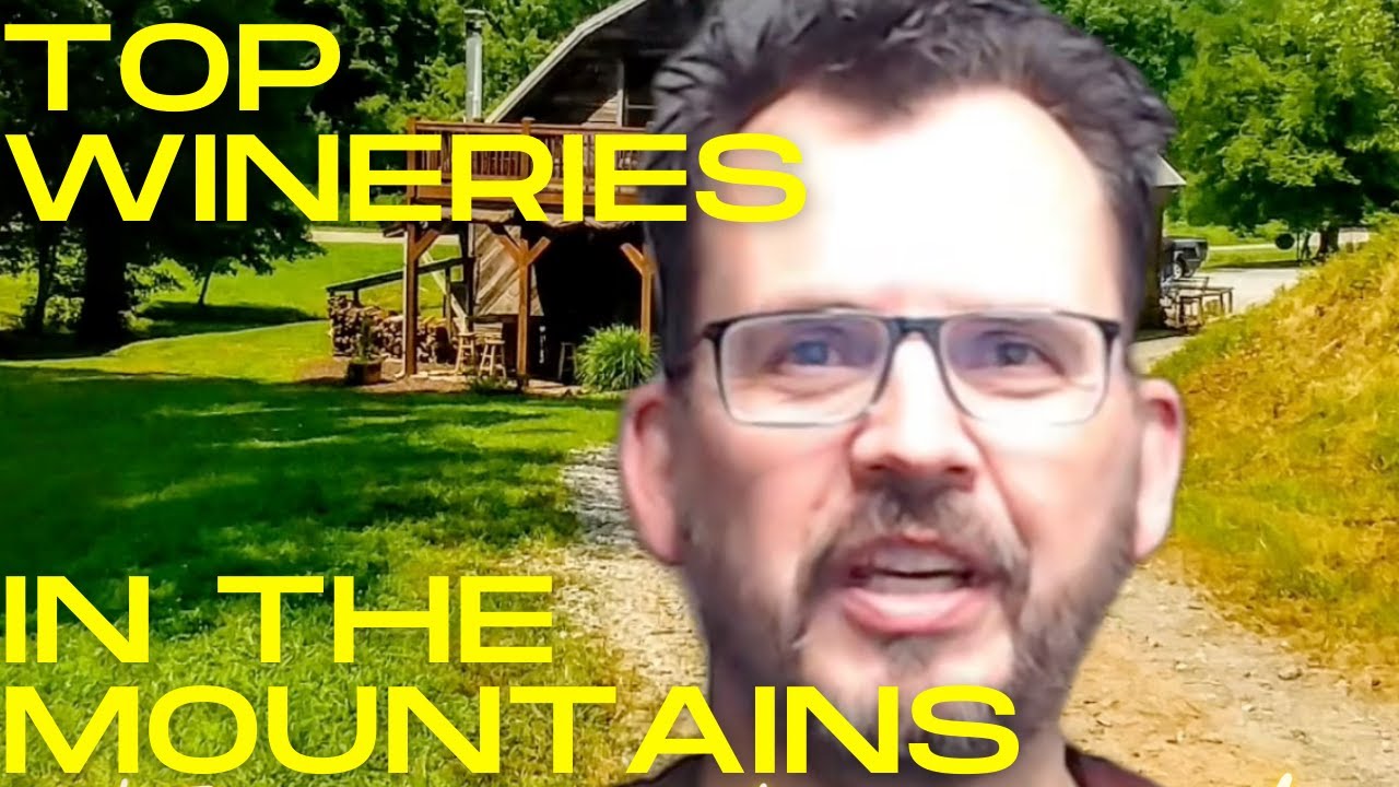 Wine Lover's Dream: Georgia Mountains' Top 10 Vineyards Exposed