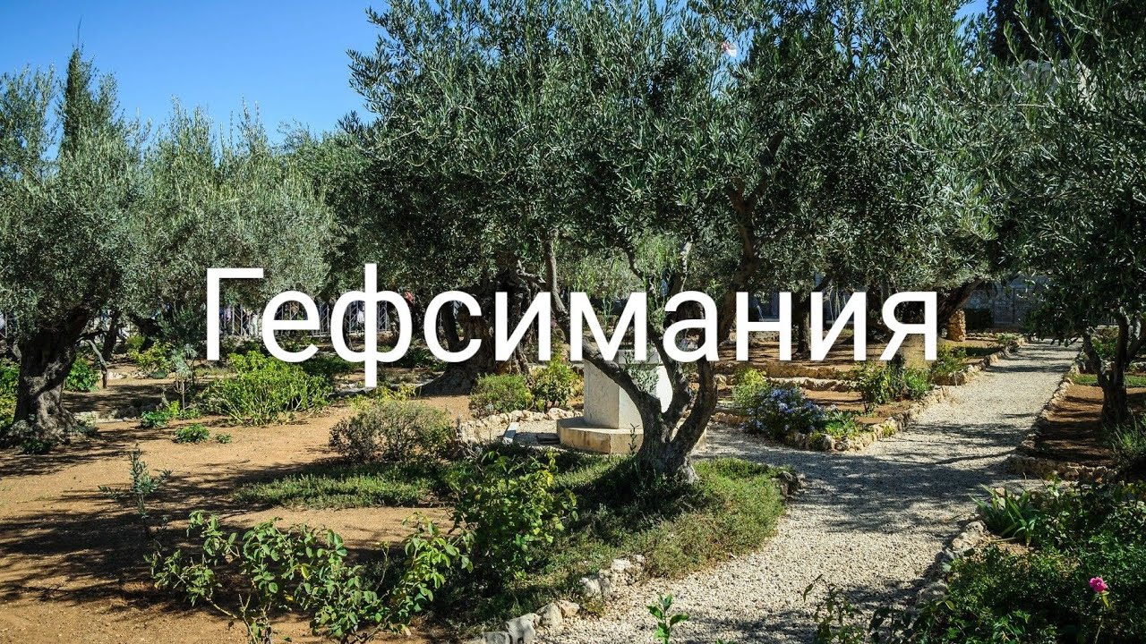 В страдании Один, молился Божий Сын || хор