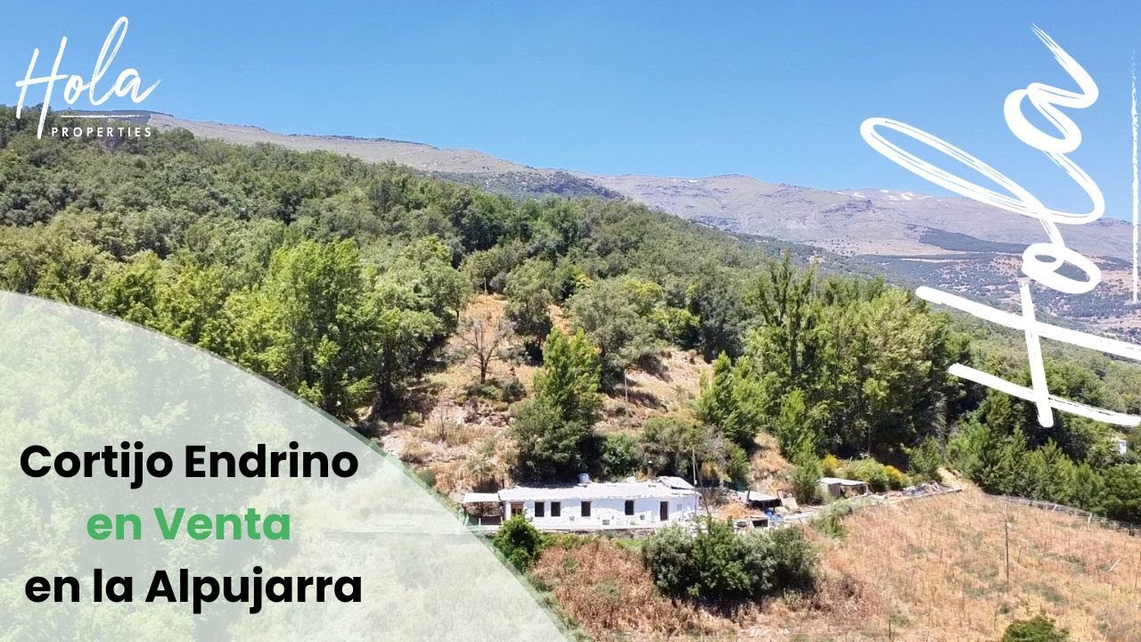 🌿 𝐂𝐨𝐫𝐭𝐢𝐣𝐨 𝐄𝐧𝐝𝐫𝐢𝐧𝐨 𝐞𝐧 𝐕𝐞𝐧𝐭𝐚 𝐞𝐧 𝐋𝐚 𝐀𝐥𝐩𝐮𝐣𝐚𝐫𝐫𝐚 #granada🌿